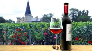 La route des vins - Bordeaux