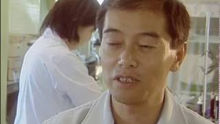 La route des vins - Le Japon