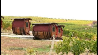 Documentaire En Macédoine du Nord, la viticulture , une activité en plein essor