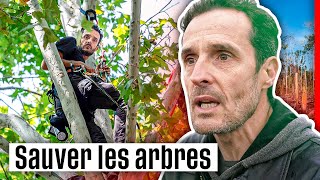 Militants pour les arbres