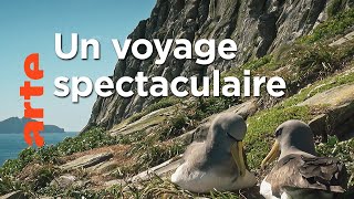 Nouvelle-Zélande : embarquement immédiat