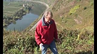 Route des vins - Allemagne, de la Moselle au Rhin