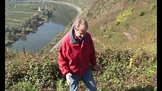 Route des vins - Allemagne, de la Moselle au Rhin