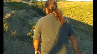 Route des vins - Californie du nord
