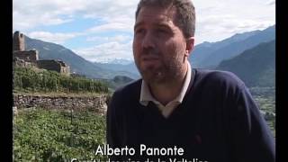 Documentaire Route des vins : Italie, des Alpes aux Apennins