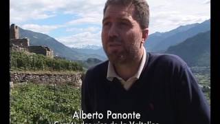 Route des vins : Italie, des Alpes aux Apennins