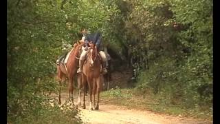 Documentaire Route des vins – Italie, de la Toscane à l’Adriatique