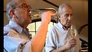 Documentaire Route des vins – L’argentine