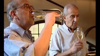 Route des vins - L'argentine