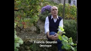 Route des vins - Paris