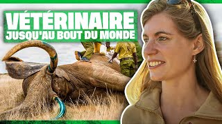 Documentaire Vétérinaire jusqu’au bout du monde