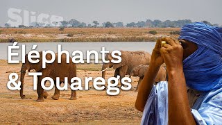 Vivre avec les éléphants : un territoire à partager