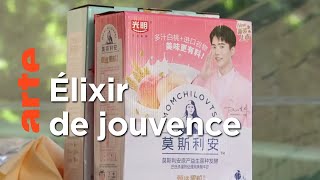 Des Chinois en quête du yaourt bulgare