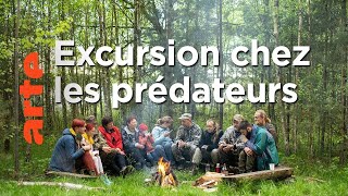 Les perles de la taïga