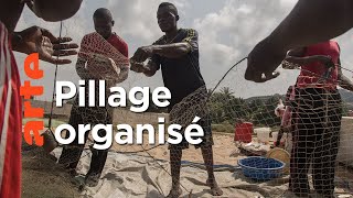 Documentaire Sénégal : pilleurs des mers