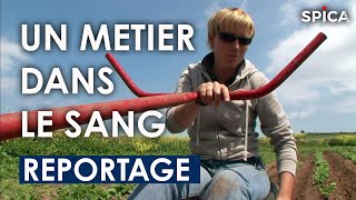 Un métier dans le sang