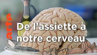 Documentaire Bien nourrir son cerveau