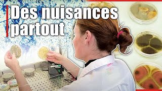 Ces ennemis du quotidien que l’on ignore