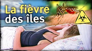 La fièvre des îles