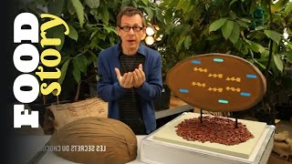 Les secrets du chocolat