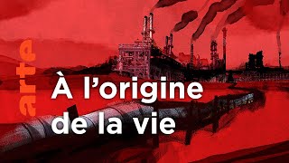 Documentaire L’histoire secrète du carbone