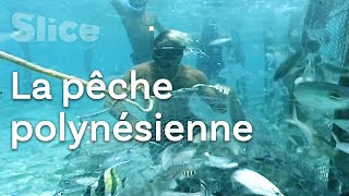 Documentaire Pêche polynésienne : de l’océan au marché de Papeete