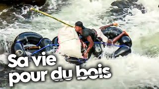 Risquer sa vie pour du bois