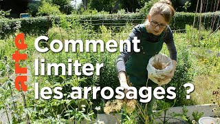 Une journée d'été | La vie sauvage du jardin