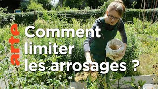 Documentaire Une journée d’été | La vie sauvage du jardin