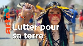 Documentaire Amazonie, c’est la forêt qu’on assassine