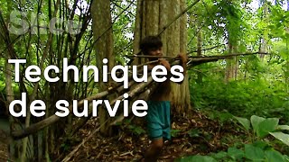 Experts des forêts vietnamiennes