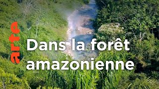 Documentaire La jungle | Amérique du sud, sur la route des extrêmes (1/5)