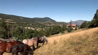 Documentaire La maison d’hôte, les vacances autrement