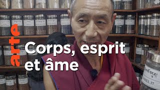 Documentaire La médecine tibétaine, l’art de guérir