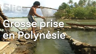 La pêche dans un piège à poissons