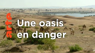 Documentaire Maroc, les maîtres de l’eau du Tafilalet
