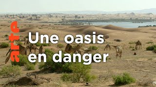 Maroc, les maîtres de l'eau du Tafilalet