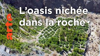 Oman, les jardins suspendus du Djebel Akhdar