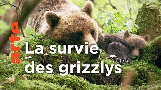 Alaska, l'ultime frontière de l'Amérique | Les derniers paradis sauvages (6/6)