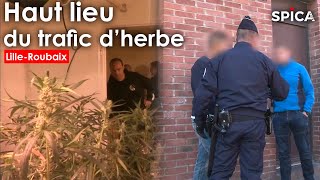 Haut-lieu du trafic d'herbe : opération en zone sensible / Lille-Roubaix