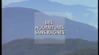 Documentaire Histoire de l’alimentation – Des nourritures sans racines