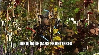 Documentaire Jardinage sans frontières – le business des fleurs