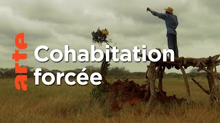 Kenya : se soucier des hommes pour sauver la faune