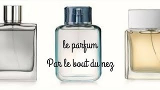 Le parfum - Par le bout du nez