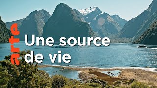 Les volcans de Nouvelle-Zélande (1/2)