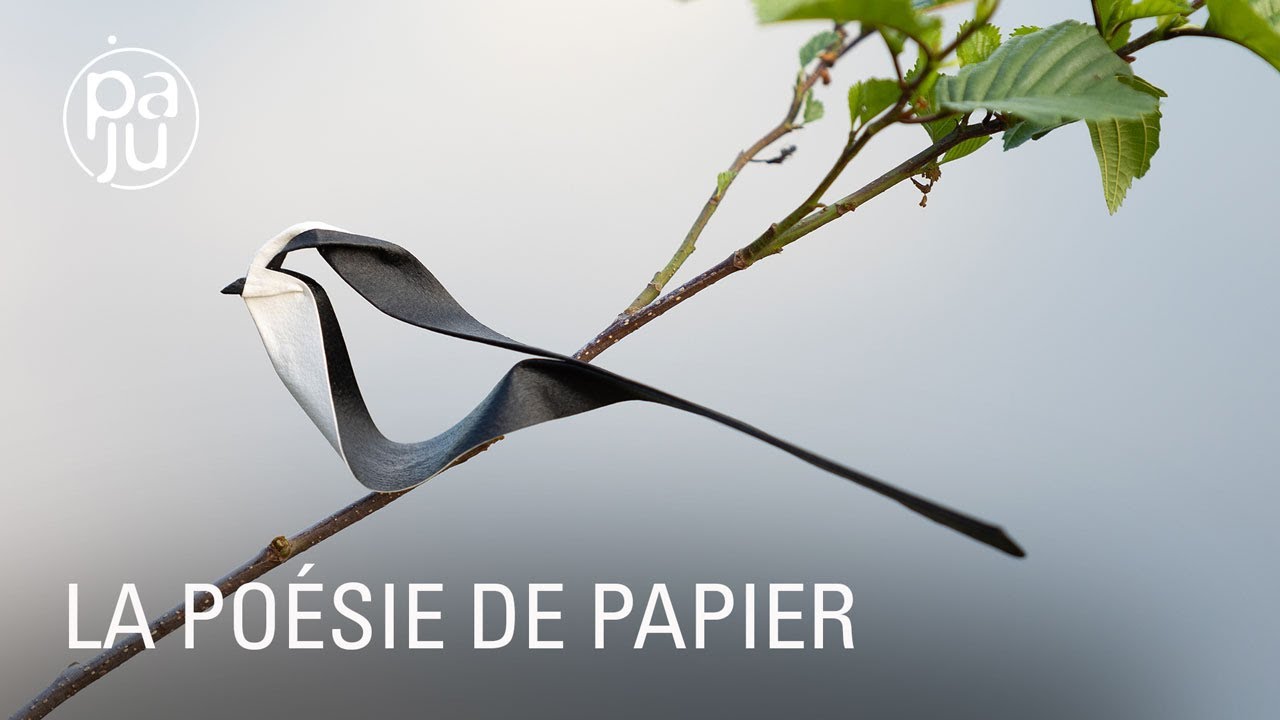Origamiste, Jonathan reproduit les animaux  qu’il épie en forêt avec du papier