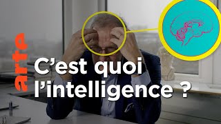 Sommes-nous de plus en plus bêtes ?