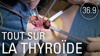 Documentaire Thyroïdes : cancer, traitement et surtraitement