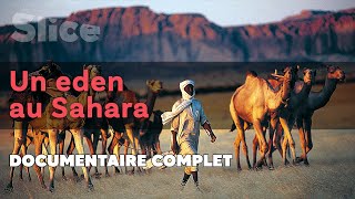 Un Eden au Sahara