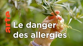 Documentaire Un monde d’allergiques